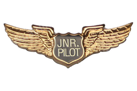 Junior Pilot Wings Pin
