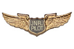 Junior Pilot Wings Pin