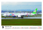 Airliners in special colours - Wandkalender 48x34 cm