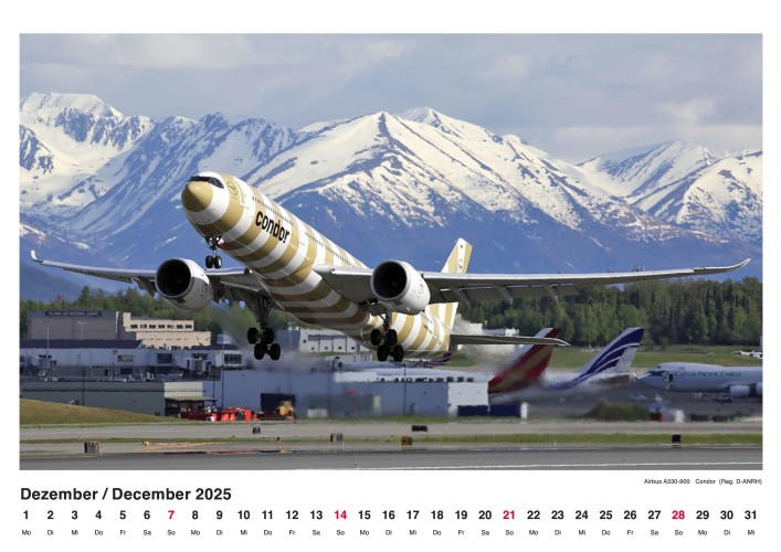 Airlines worldwide 2025 - Wandkalender 42x30 cm